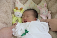 A.N. 様
